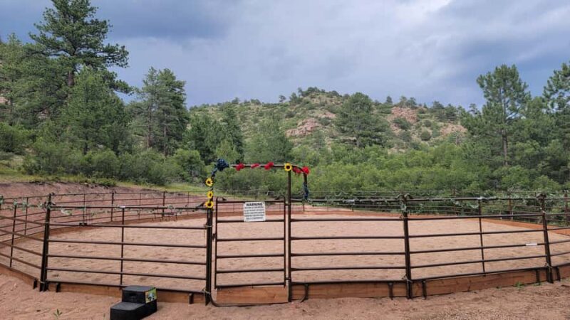 Florissant: Private Horse Experience with Rescue Mustangs - Reflection and Group Bonding in the Mountain Setting
