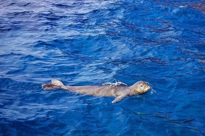 Flotation Therapy Rental 24 Hr Float Wetsuit, Goggle, Headphone - What’s Included in the Rental Package