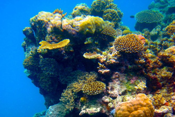 Flotation Therapy Rental 24 Hr Float Wetsuit, Goggle, Headphone - Accessibility and Suitability of Flotation Therapy on Maui