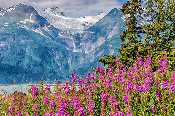 Focus on Haines Private Nature / Photography tour - Tailored Experience and Flexibility