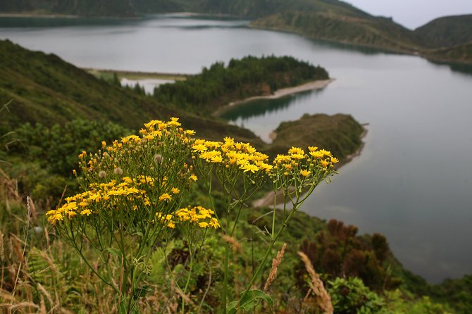 Fogo Lake hiking tour - full day - Encounters with Native Plants and Wildlife