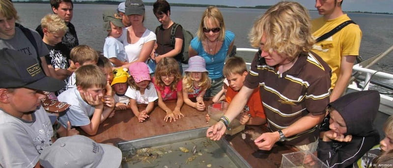 Föhr: Boat trip to the seals - What to Expect During the Seal Observation