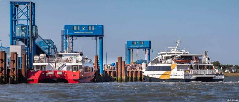 Föhr: Day trip by boat to Hallig Hooge - Key Points