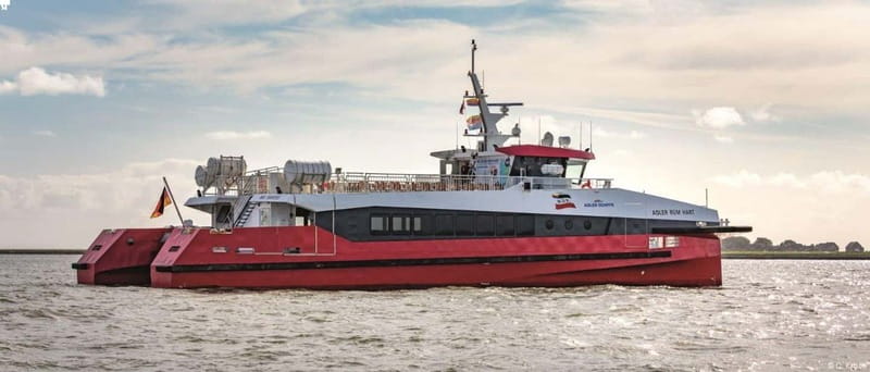 Föhr: Day trip by boat to Hallig Hooge - Seal Watching in the Wadden Sea