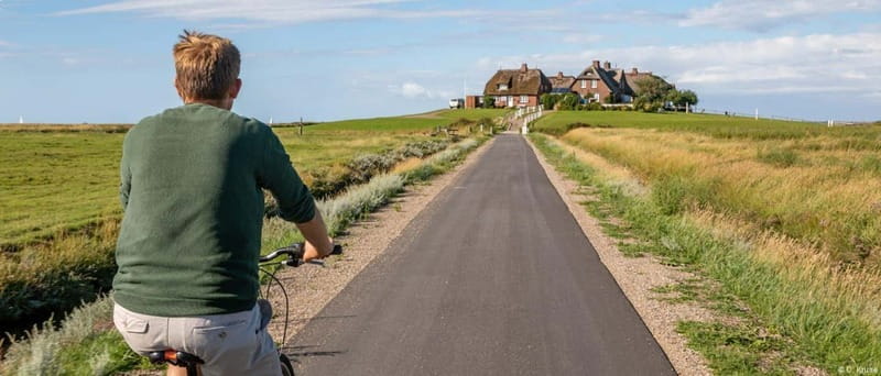 Föhr: Day trip by boat to Hallig Hooge - Practical Information and Accessibility