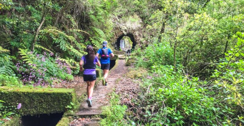 Folhadal Hidden Treasures Running Tour - Discover the Folhadal Hidden Treasures Running Tour in Madeira
