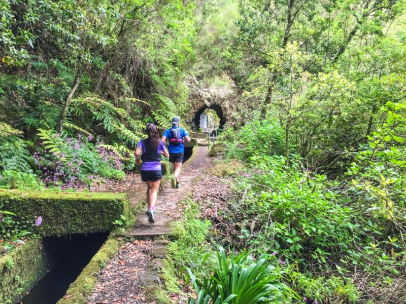 Folhadal Hidden Treasures Running Tour - Exploring Waterfalls and Lush Laurel Forest Scenery