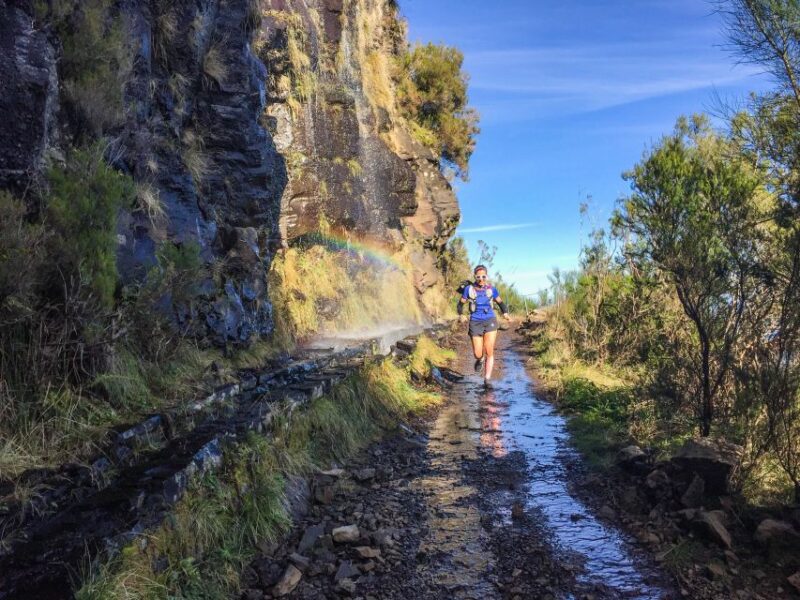Folhadal Hidden Treasures Running Tour - Comparisons to Similar Madeira Experiences
