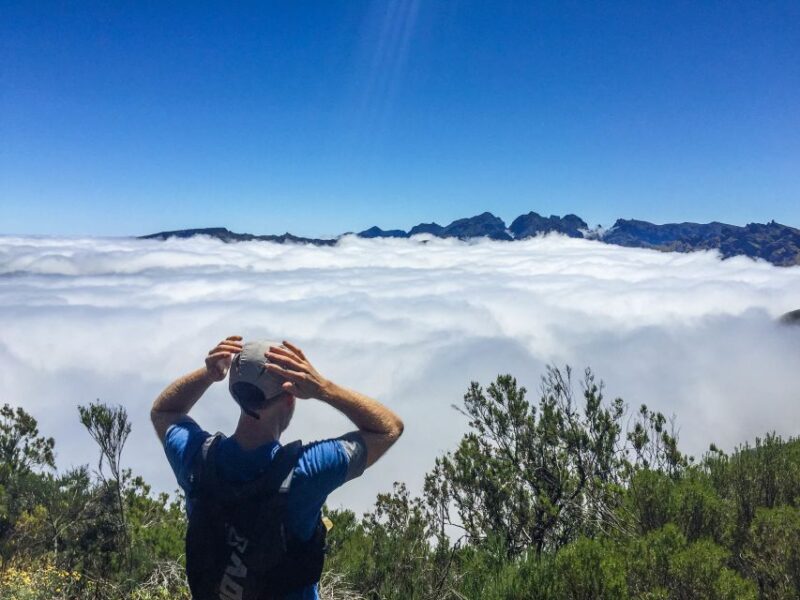 Folhadal Hidden Treasures Running Tour - Who Will Most Enjoy This Tour?