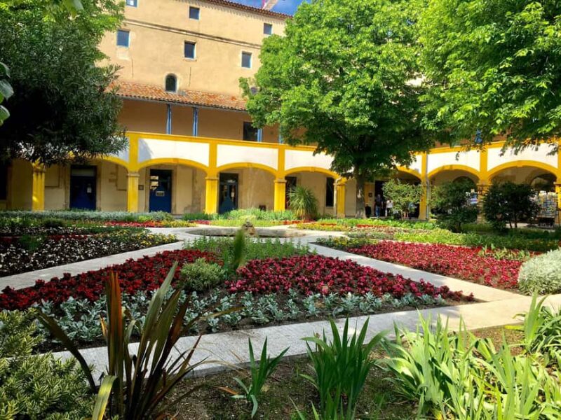 Following the steps of Van Gogh - Following Van Gogh’s Footsteps in Provence