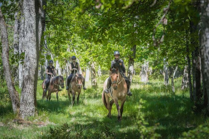 Fontainebleau : Horse-riding, Gastronomy & Château - Horseback Riding in Fontainebleau Forest: 1.5 Hours of Nature and Adventure