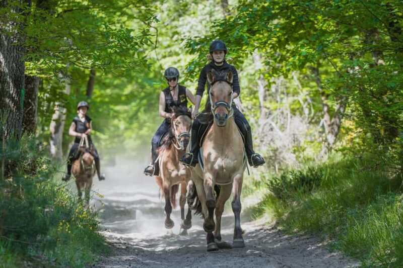Fontainebleau : Horse-riding, Gastronomy & Château - Who Will Appreciate This Tour Most