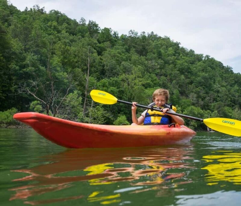 Fontana Lake: Kayak or SUP Rental - Enjoyable for Dog Owners and Wildlife Watchers