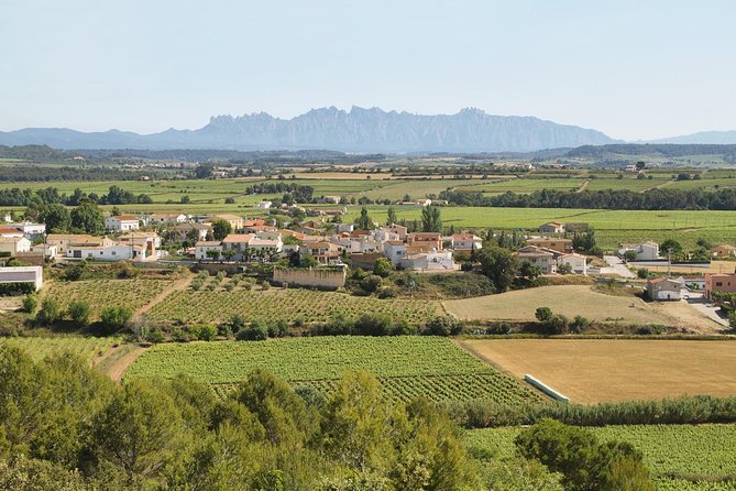 Food and Wine Small Group Tour from Barcelona - Maximum 8 people - Exploring Montserrat’s South Face and Panoramic Views