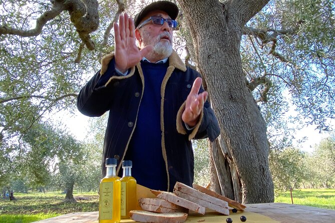 Food and Wine Tour between the Patriarchs Olives and the Oil Temples - The Route and Key Stops: From Nature to Heritage