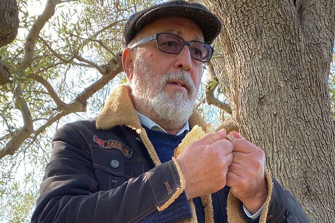 Food and Wine Tour between the Patriarchs Olives and the Oil Temples - Strengths and Limitations of the Tour