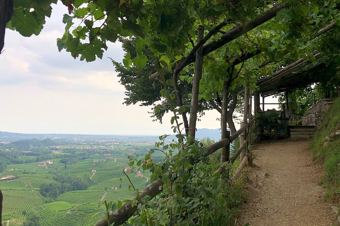 Food and Wine Tour on the Prosecco Hills from Venice - Final Stop and Return to Venice