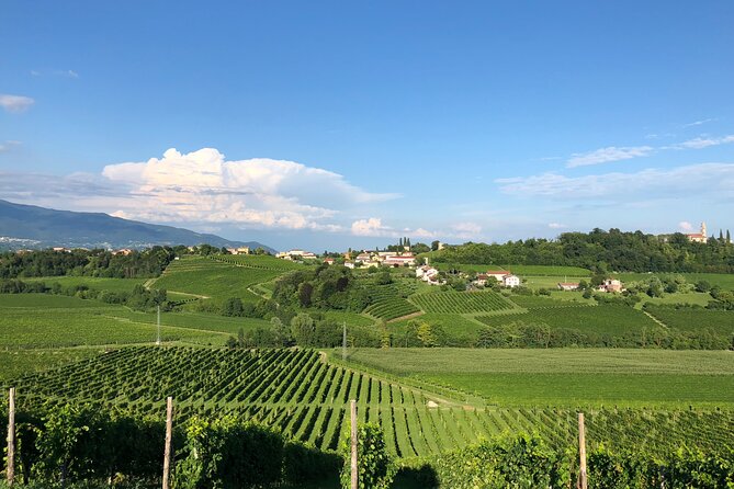 Food and Wine Tour on the Prosecco Hills from Venice - The Guide and Tour Experience