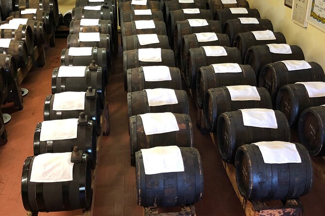 Food Excellences:Prosciutto, Parmigiano, Balsamic,Lunch,Transport - Final Thoughts on the Food Excellences Tour