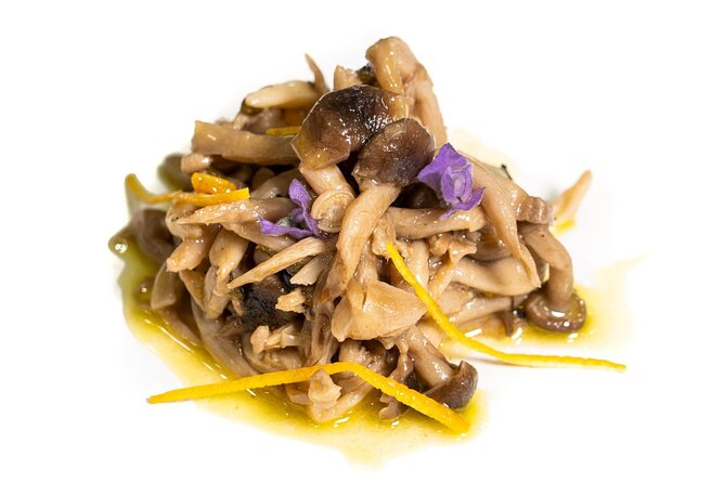 Food experience in mushroom cultivation (tour not included) - Comparing the Tasting to a Guided Cultivation Tour