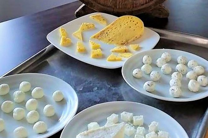 Food, heritage & cultural tour Inishmore, Aran Islands. Guided. - Seal Colony Viewing on the Northern Coast