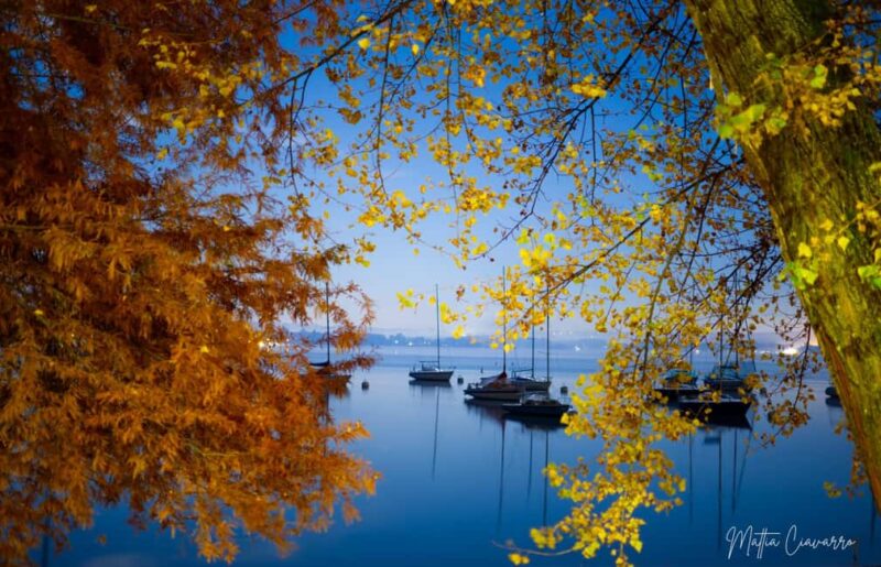 Food & Photo Experience Arona (Lake Maggiore) - Key Points