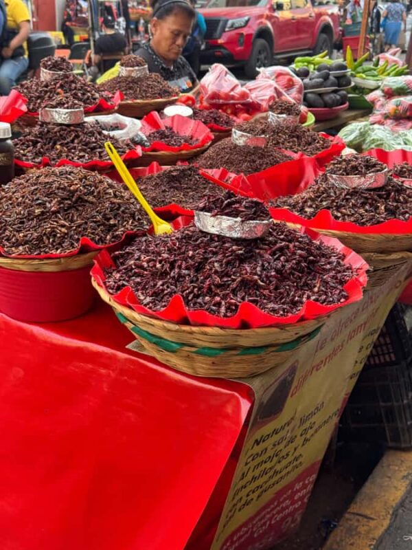 Food Tour at the 20 de Noviembre Market (All-inclusive) - Exploring Mercado 20 de Noviembre