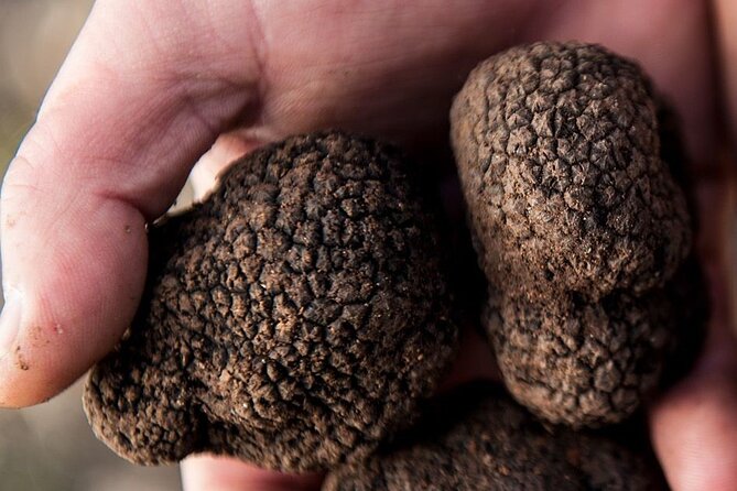 Food Tour Bologna - The Charm of Bologna’s Oldest Osteria