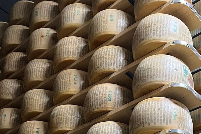 Food Tour Bologna - Practical Details and Logistics