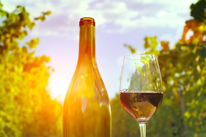 Food Tour Excursion in Provence ! - Final Thoughts on the Provence Food Tour