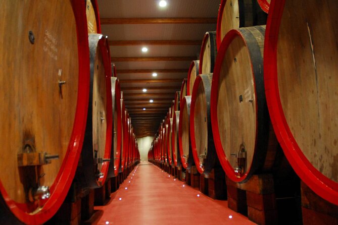 Food Tour: Parmigiano, Balsamic, Red Wine, lunch,transport - Practical Details and Flexibility for Participants