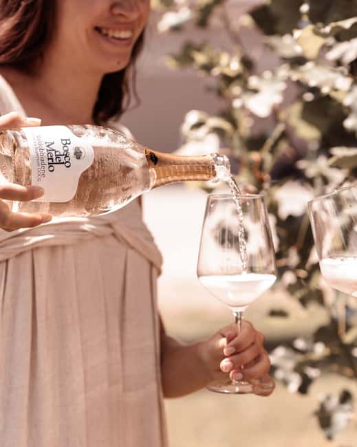 Food&Wine Tour to the discovery of Historical Casa Paladin - Explore Casa Paladin Winery: A Historic Estate Along the Roman Via Postumia