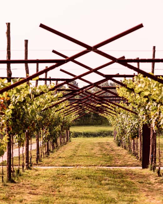 Food&Wine Tour to the discovery of Historical Casa Paladin - Practical Details: Meeting Point and Accessibility