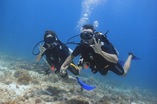For certified Divers Experience the Under Water Museum and the Manchones Reef - Group Size and Booking Experience