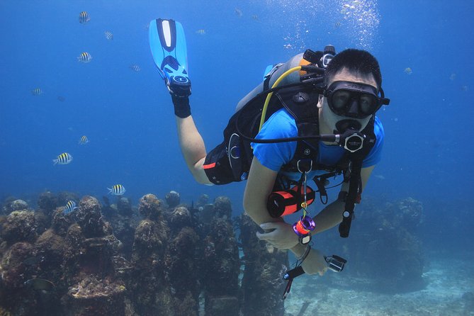 For certified Divers Experience the Under Water Museum and the Manchones Reef - The Experience Provider: Coconut Divers