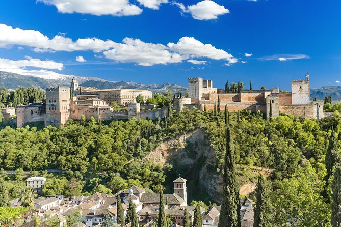For Cruise Passengers ONLY: Granada and Alhambra from Malaga Port - Free Time in Granada’s Historic City Center