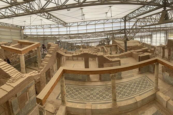 FOR CRUISERS: Best of Ephesus Private Tour (GUARANTEED ON-TIME RETURN) - Discovering the Ephesus Terrace Houses