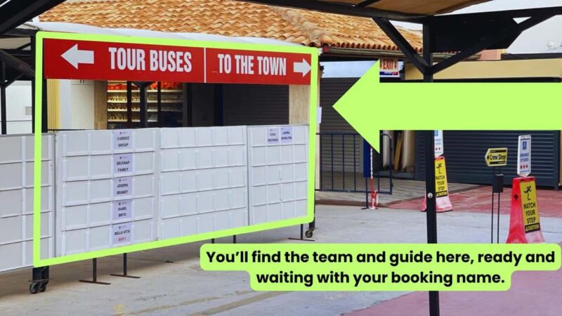 For Cruisers: Ephesus, Terrace Houses Tour with Lunch - Key Points