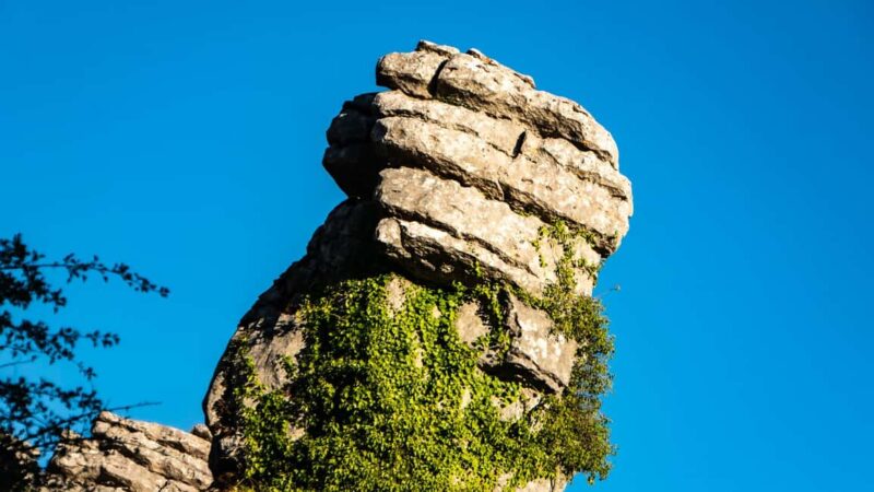 For Photographer Málaga: Photo Tour with Tesla X - Who Will Love This Tour?