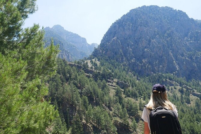 For the Wild Ones: White Mountains & Samaria Gorge Sightseeing - Exploring Samaria Gorge from the Omalos Plateau