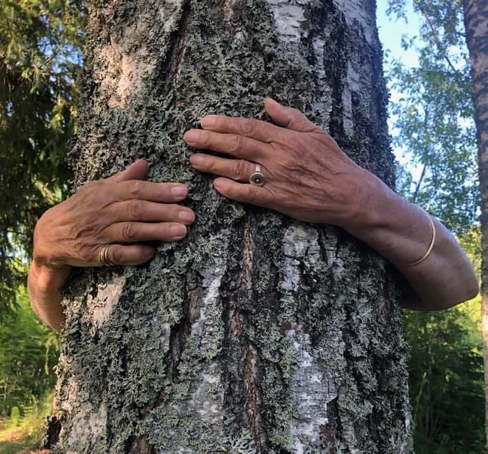 Forest Bathing in Stockholm nature with certified guide - Key Points