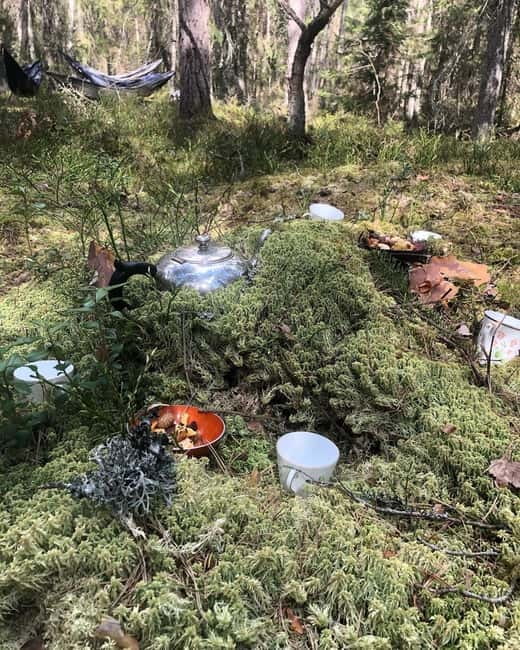 Forest Bathing in Stockholm nature with certified guide - Practical Details: Meeting, Location, and Group Size