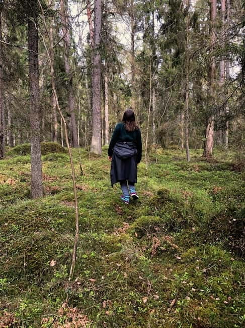 Forest Bathing in Stockholm nature with certified guide - Accessibility and What to Bring
