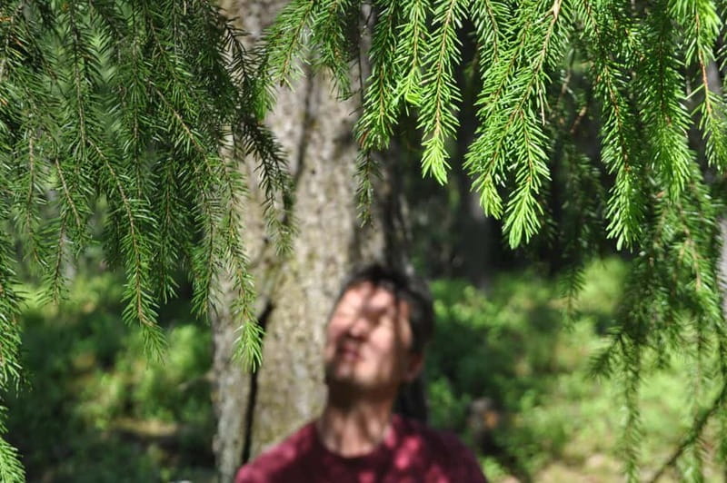 Forest Bathing in Stockholm nature with certified guide - Frequently Asked Questions