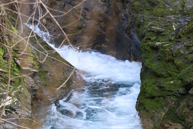 Forest Bathing in Tuscany with Wild Crafted Tea - Practical Details: Group Size, Weather, and Accessibility