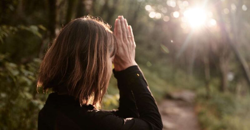 Forest Bathing & Nature Therapy Mini-Retreat - Starting Point at Pink Beds Trail Loop