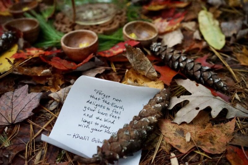 Forest Bathing & Nature Therapy Mini-Retreat - The Practice of Shinrin-Yoku and Its Benefits