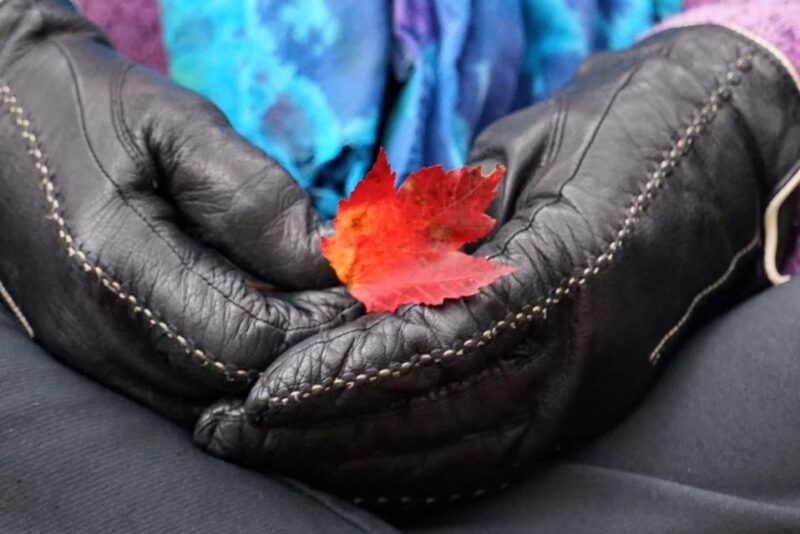 Forest Bathing & Nature Therapy Mini-Retreat - Logistics and Accessibility