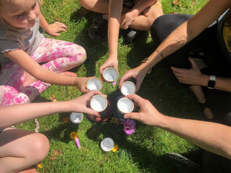 Forest Bathing & Nature Therapy Mini-Retreat - Final Thoughts on the Pisgah Forest Mini-Retreat