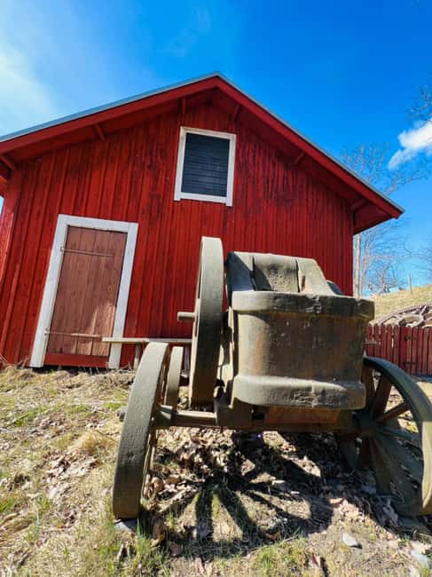 Forest, Castle & Fiskars Village Day Trip from Helsinki - Discover the Forests of Nuuksio National Park